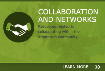 Collaboration and Networks