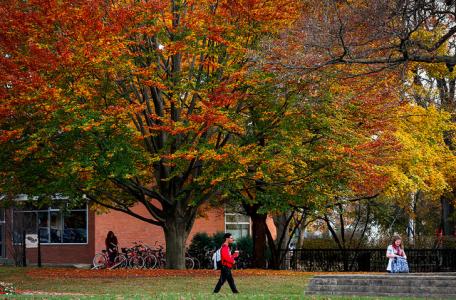 North Central College