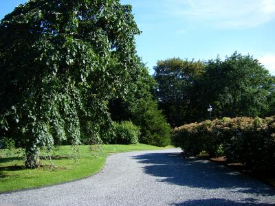 The Chalet grounds