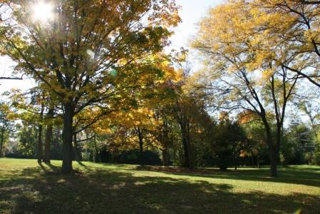 Downers Grove Park District