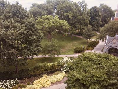 Macalester College campus trees