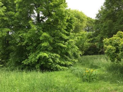 Arboretum de Paris