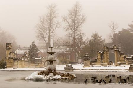 Tower Grove Park winter