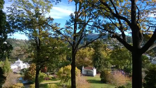 Lower garden view from arboretum