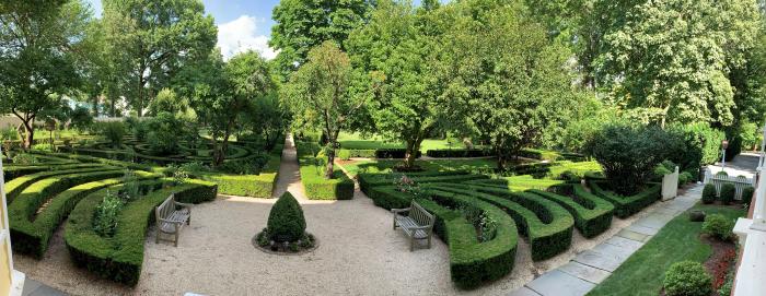 Arboretum at Liberty Hall hedges