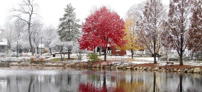 Downers Grove Park District