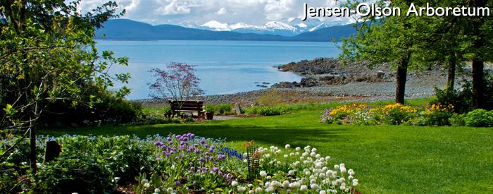 Jensen-Olson Arboretum