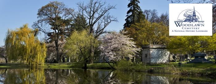 Woodlawn Cemetery Spring trees