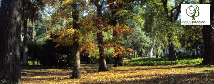 Botanic Garden of the City of Buenos Aires "Carlos Thays"