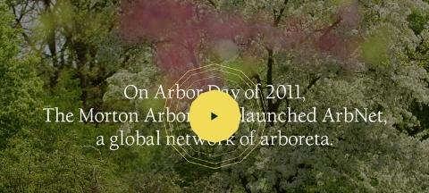 ArbNet celebrates 10 years!